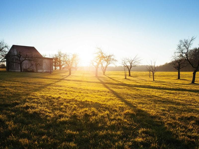 Cars From Japan